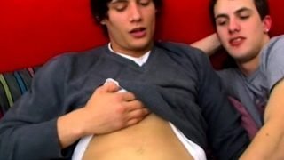 Perverted pretty teens in homo act